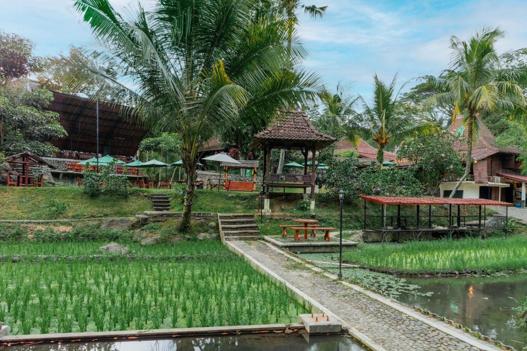 Padi Heritage Hotel Malang Exterior photo